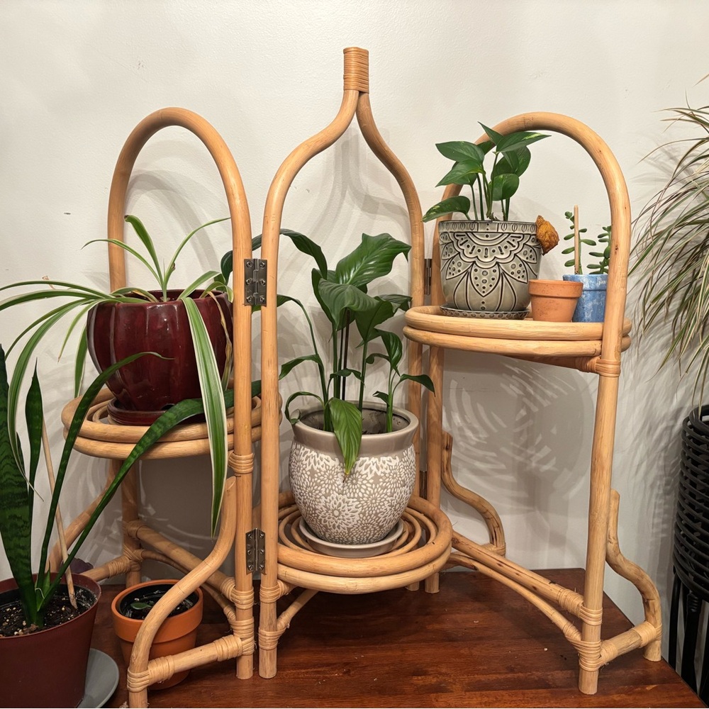 Plant Stand with Three Shelves
